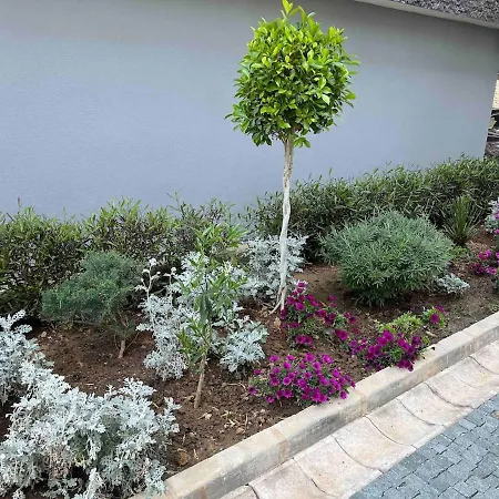 In Royalgarden Means Life Apartmán *